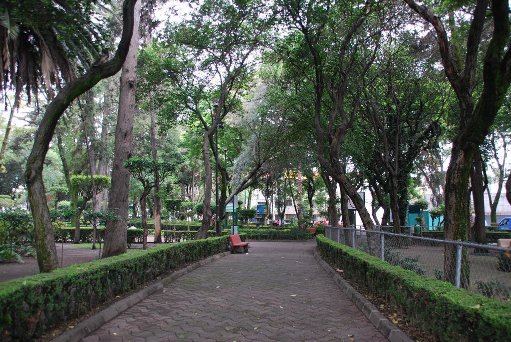 Homfor Napoles Apartment Ciudad de México Exterior foto